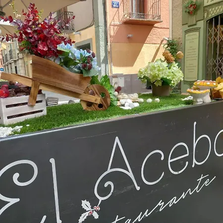 Отель El Acebo Хака