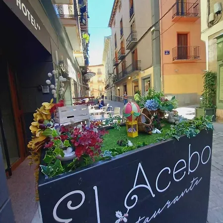 Hotel El Acebo