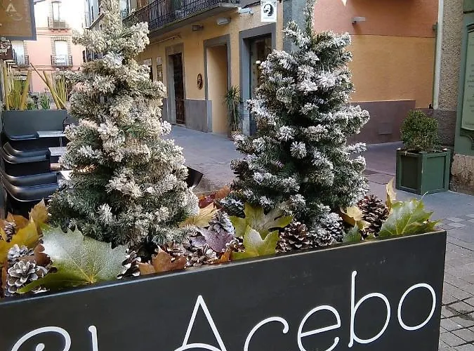 El Acebo Hotel Jaca